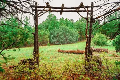 538 Rugby Mines Rd, Walsenburg, CO 81089 - Photo 45