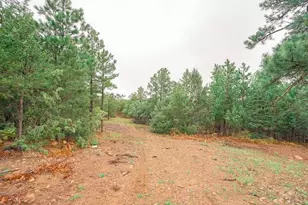 538 Rugby Mines Rd, Walsenburg, CO 81089 - Photo 43