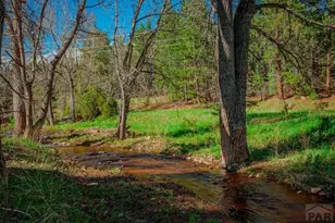 5207 Northcreek Rd, Beulah, CO 81023 - Photo 49