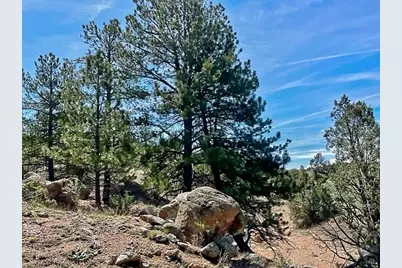 7080 Copper Gulch Road, Cotopaxi, CO 81223 - Photo 11
