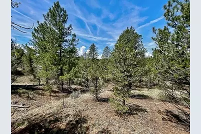 7080 Copper Gulch Road, Cotopaxi, CO 81223 - Photo 9