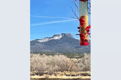33866 Hwy 12, Trinidad, CO 81082 - Photo 37