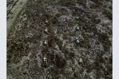 1218 E Industrial Blvd, Pueblo West, CO 81007 - Photo 11