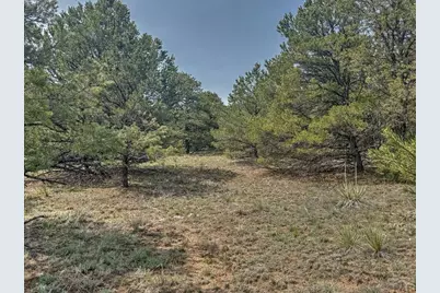 Tbd Lot 34 Corral North, Cotopaxi, CO 81223 - Photo 23