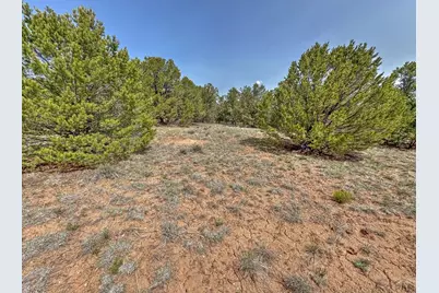 Tbd Lot 34 Corral North, Cotopaxi, CO 81223 - Photo 27