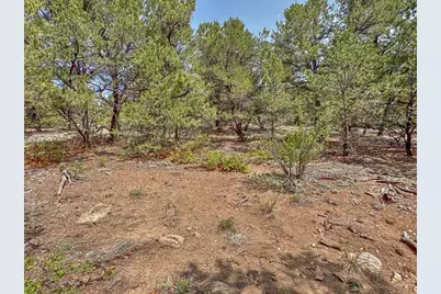 Tbd Lot 34 Corral North, Cotopaxi, CO 81223 - Photo 21