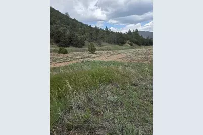 8099 County Rd 28, Cotopaxi, CO 81223 - Photo 9