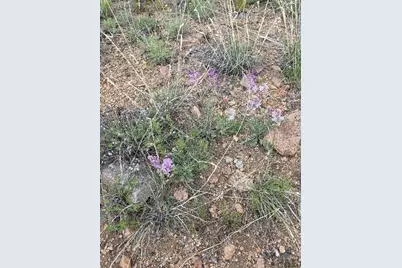 8099 County Rd 28, Cotopaxi, CO 81223 - Photo 7