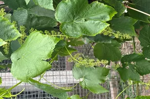 339 S Park Dr, Pueblo, CO 81005 - Photo 15