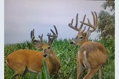 628 Avondale Blvd, Avondale, CO 81022 - Photo 7