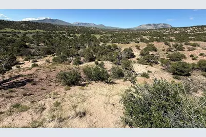 25 Colorado Land and Grazing, Gardner, CO 81040 - Photo 9