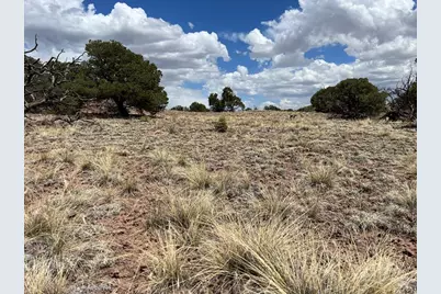 25 Colorado Land and Grazing, Gardner, CO 81040 - Photo 19