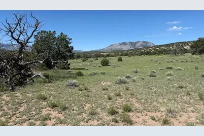 27 Colorado Land and Grazing, Gardner, CO 81040 - Photo 7