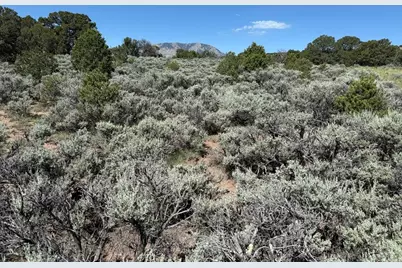 27 Colorado Land and Grazing, Gardner, CO 81040 - Photo 9