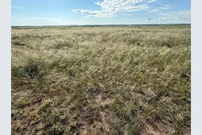 Tbd County Rd 520, Walsenburg, CO 81089 - Photo 25