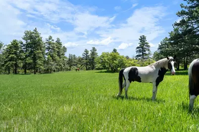 8221 Cuerna Verde Rd, Rye, CO 81069 - Photo 47