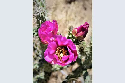 205 Hoofprint Court, Walsenburg, CO 81089 - Photo 19