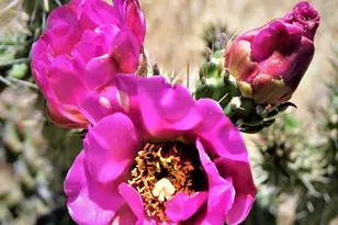 205 Hoofprint Ct, Walsenburg, CO 81089 - Photo 19