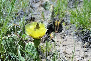 205 Hoofprint Ct, Walsenburg, CO 81089 - Photo 11