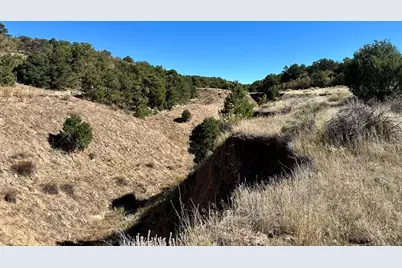 205 Hoofprint Court, Walsenburg, CO 81089 - Photo 51