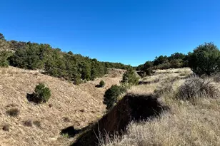 205 Hoofprint Ct, Walsenburg, CO 81089 - Photo 51
