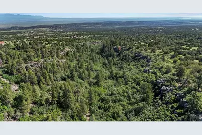 Tbd Old Homestead Ln, Beulah, CO 81023 - Photo 13