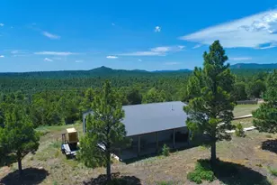 22010 Steffi Dr, Aguilar, CO 81020 - Photo 49
