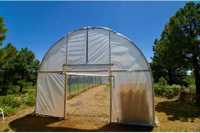 22010 Steffi Dr, Aguilar, CO 81020 - Photo 49