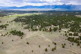 2793 Black Fawn Ln, Westcliffe, CO 81252 - Photo 23