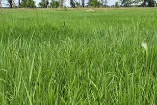 7621 Hwy 50, Las Animas, CO 81054 - Photo 53