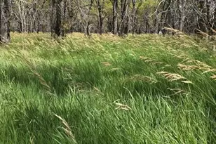 7621 Hwy 50, Las Animas, CO 81054 - Photo 51