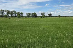 7621 Hwy 50, Las Animas, CO 81054 - Photo 55