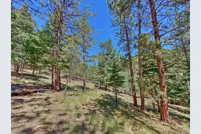 96 N Matterhorn Circle, Westcliffe, CO 81252 - Photo 27