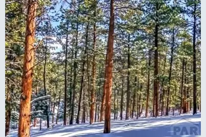 96 N Matterhorn Circle, Westcliffe, CO 81252 - Photo 29