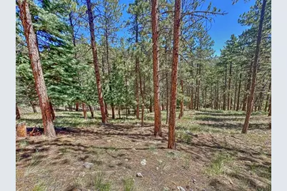 96 N Matterhorn Circle, Westcliffe, CO 81252 - Photo 25
