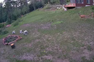 21691 Co Rd 67, Penrose, CO 81223 - Photo 33