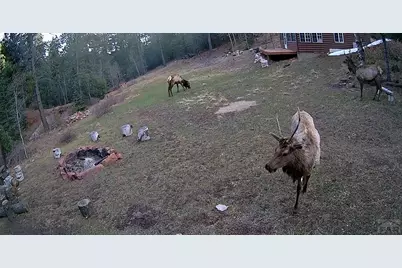 21691 County Rd 67, Penrose, CO 81223 - Photo 35