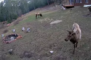 21691 Co Rd 67, Penrose, CO 81223 - Photo 35