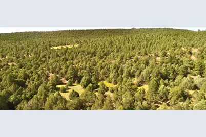 23560 Big Horn Dr, Aguilar, CO 81020 - Photo 65