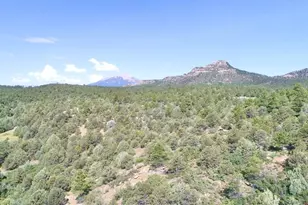 23560 Bighorn Dr, Aguilar, CO 81020 - Photo 63