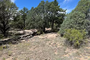 216 Westview Rd, Cotopaxi, CO 81223 - Photo 1