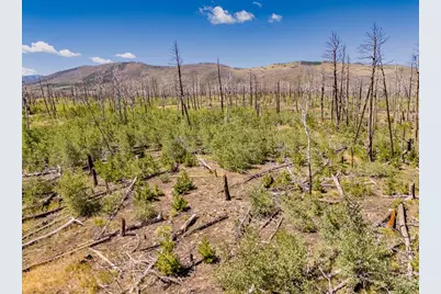 Lot 1596 Douglas Lane, Fort Garland, CO 81133 - Photo 1