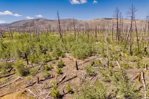 Lot 1596 Douglas Ln, Fort Garland, CO 81133 - Photo 1