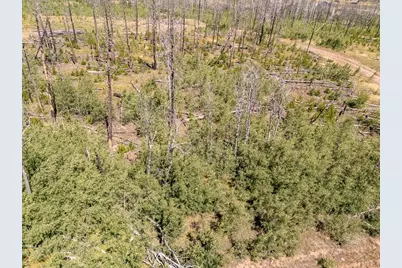 Lot 1596 Douglas Lane, Fort Garland, CO 81133 - Photo 3