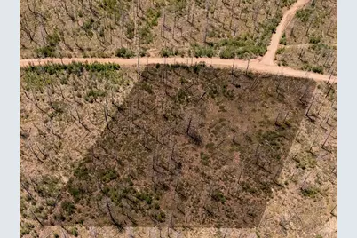 14 Lots No Site Address, Fort Garland, CO 81133 - Photo 11