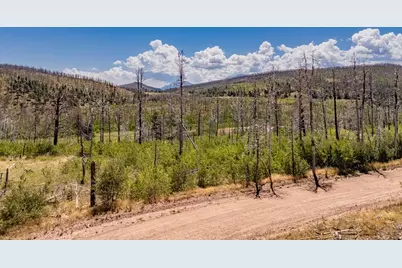 14 Lots No Site Address, Fort Garland, CO 81133 - Photo 5