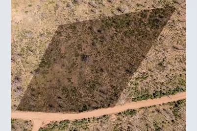 14 Lots No Site Address, Fort Garland, CO 81133 - Photo 13