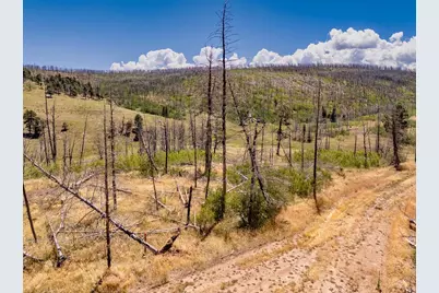 Lot 1534 Berger Ln, Fort Garland, CO 81133 - Photo 1