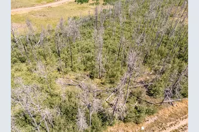 Lot 1656 Lutolf Ln, Fort Garland, CO 81133 - Photo 3