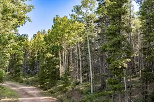 Lot 3231 Zipf Ln, Fort Garland, CO 81133 - Photo 1